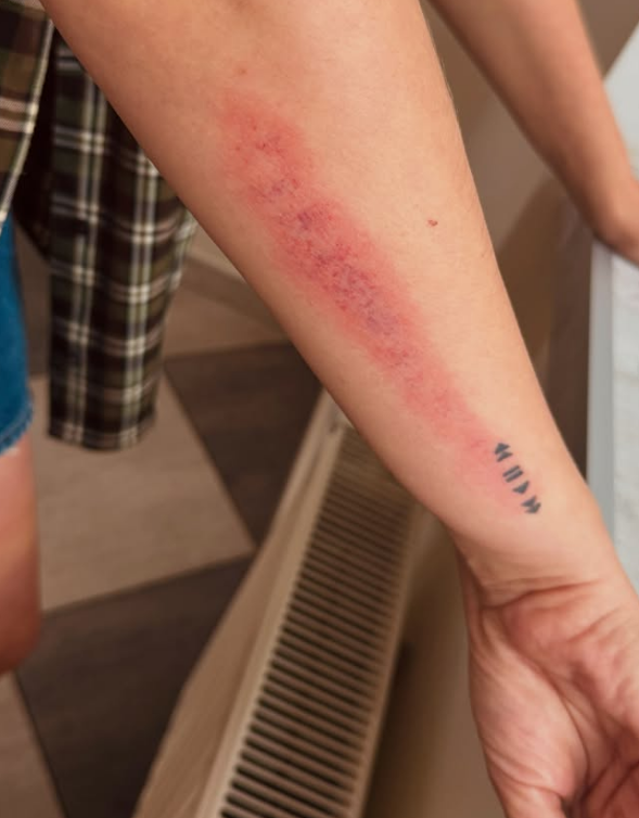 Анна Мегега стала жертвою невідомого чоловіка через заморожені млинці в магазині - скандал, фото 3