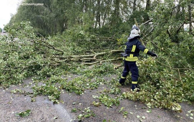 Негода в Україні 29 липня - у ДСНС показали наслідки грози та злив 1