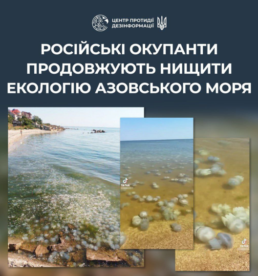 Азовське море заполонили медузи - це наслідки дій російських окупантів 2