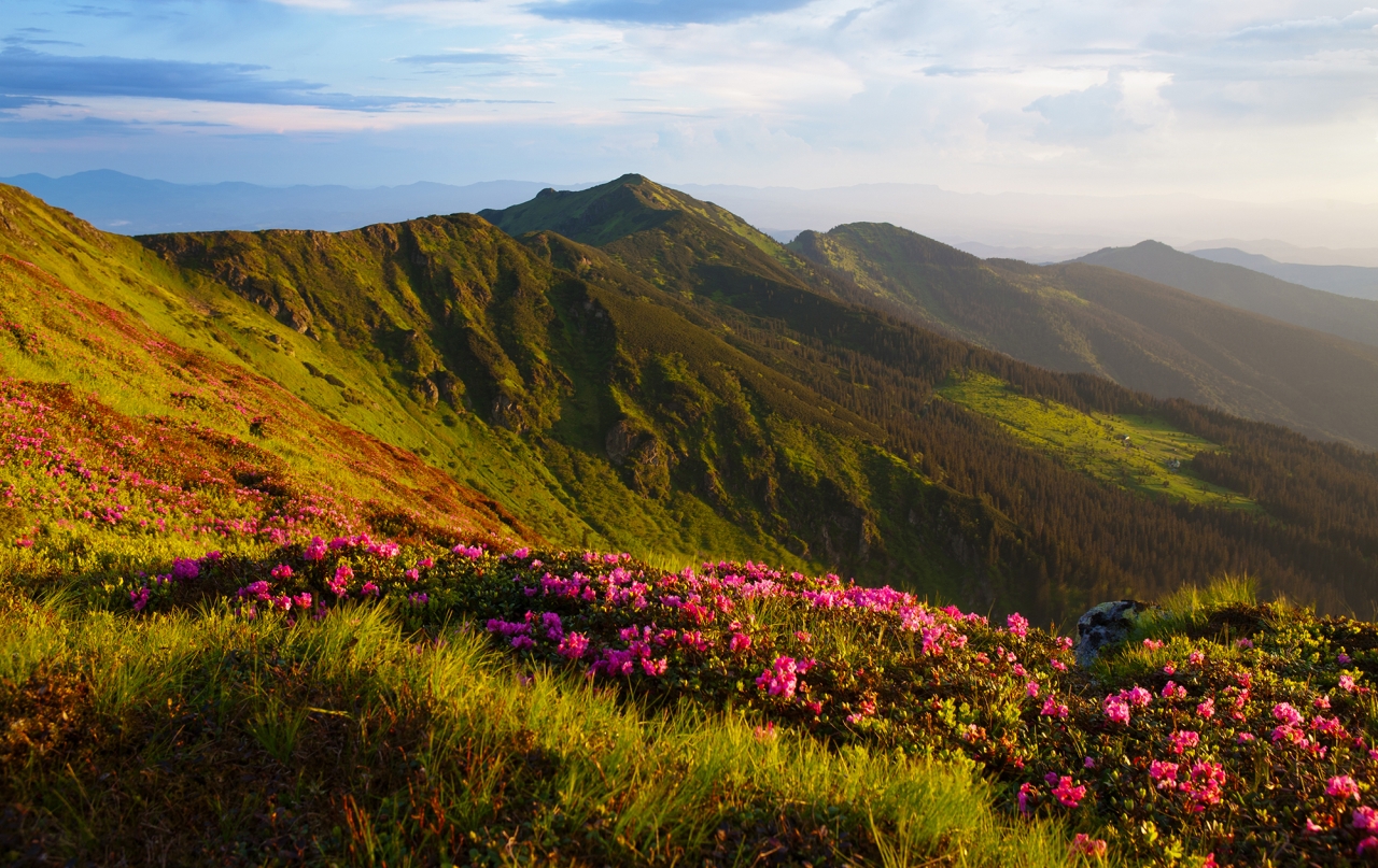 Довкілля в Україні знищується війною і забрудненням – ситуація з грунтами, річками і повітрям 7