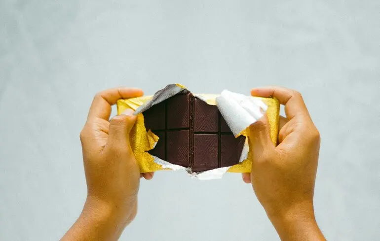 Мікроби у шоколаді — як дріжджі та бактерії формують унікальний смак какао — новини науки 1