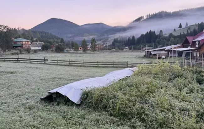 Мороз у гірському селі в Чернівецькій області зафіксували 25 серпня - заморозки на Буковині, фото 1