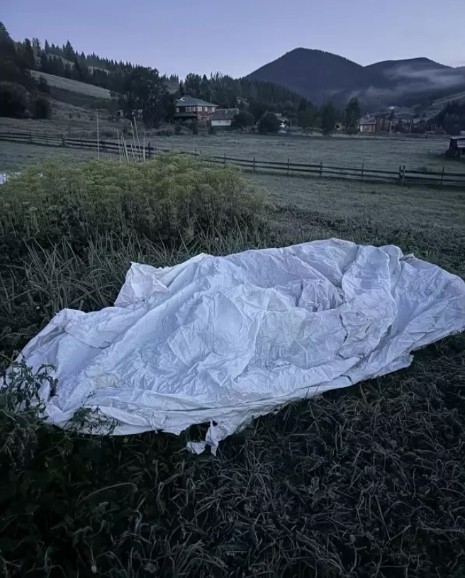 Мороз у гірському селі в Чернівецькій області зафіксували 25 серпня - заморозки на Буковині, фото 4