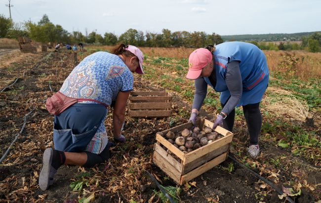 Овочі і фрукти з поля чи городу в зоні бойових дій можуть бути небезпечні через токсичні елементи 1