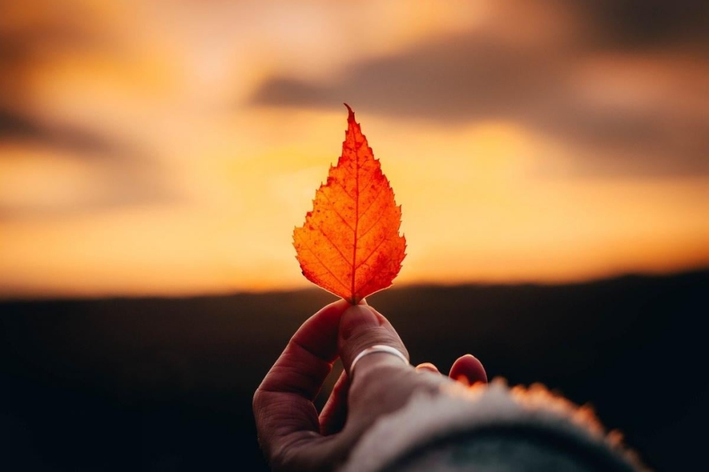 Нефото Pixabay