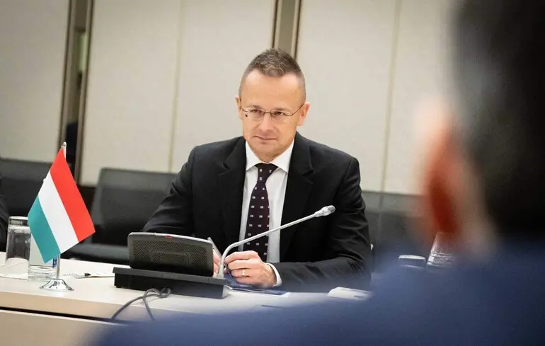 Смерть мобілізованого етнічного угорця – ДБР відреагувало на звинувачення 1