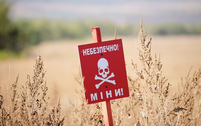 Війна в Україні негативно впливає на ґрунти, воду і повітря - еколог розповіла про наслідки для довкілля 1