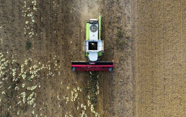Виснаження грунту і землі виникає на полях соняшника - від чого залежить родючість, урожай 1