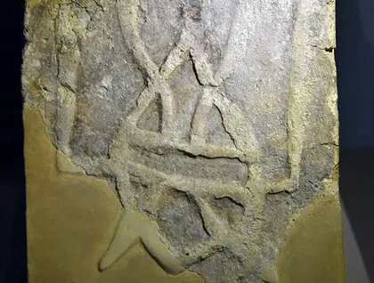 Виставка Скарби України показала сенсаційну знахідку з Городниці - фоторепортаж 3