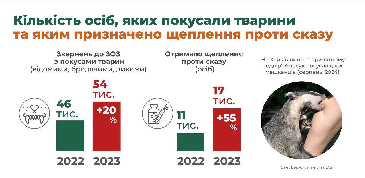 Віталій Смаголь в інтерв'ю РБК-Україна про диких тварин під час війни і поширення сказу 4