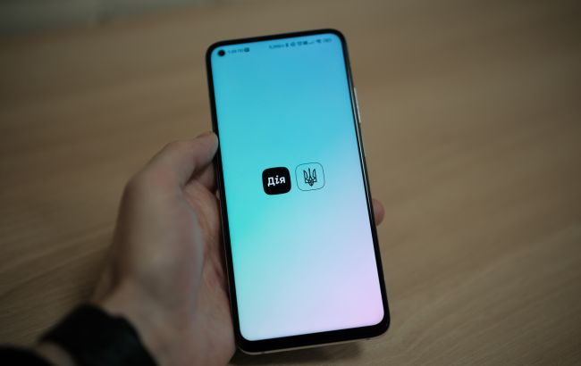 Витяг про не судимість в Україні не можна отримати з 1 до 3 серпня через оновлення сервісу 1