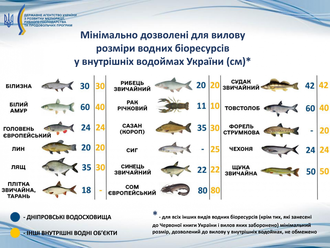 Заборона на вилов 2025 не поширюється на 7 видів риб - кого можна ловити, правила рибальства 3