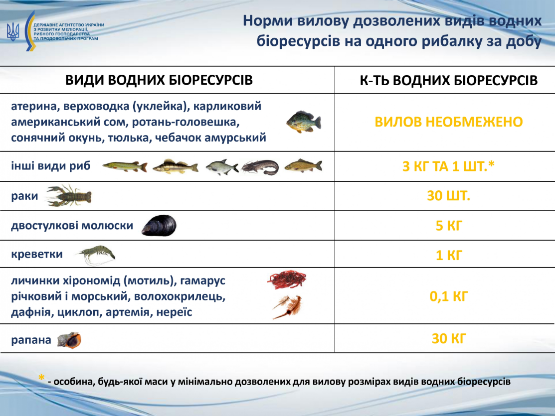 Заборона на вилов 2025 не поширюється на 7 видів риб - кого можна ловити, правила рибальства 2