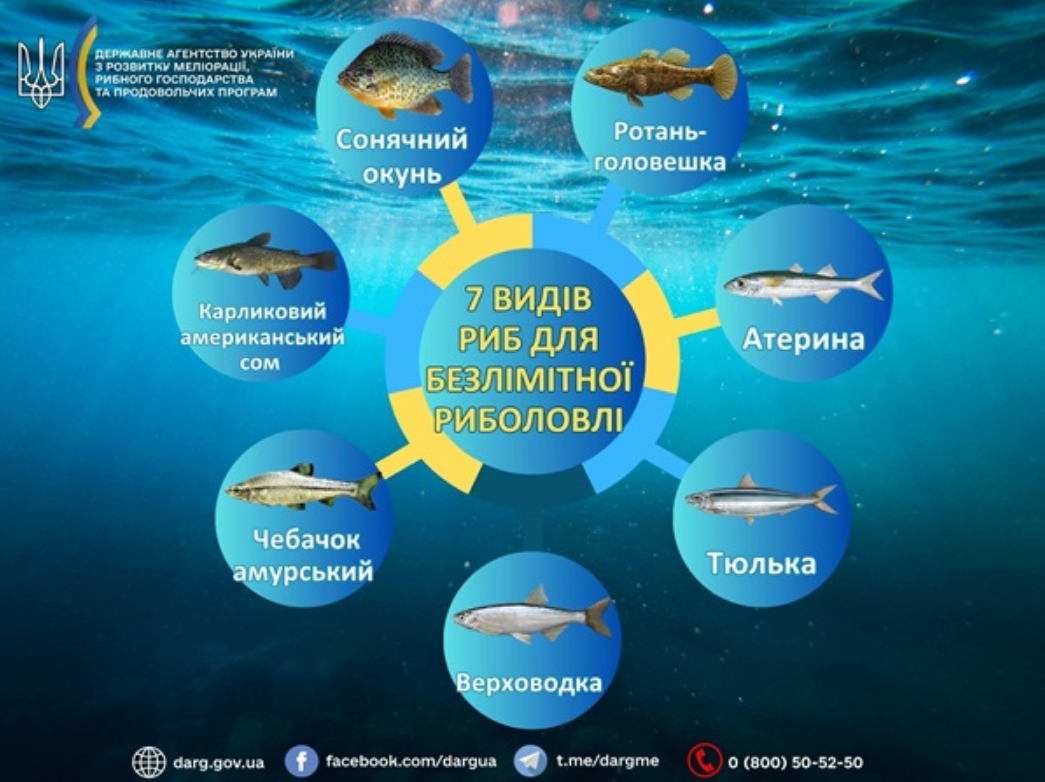Заборона на вилов 2025 не поширюється на 7 видів риб - кого можна ловити, правила рибальства 4