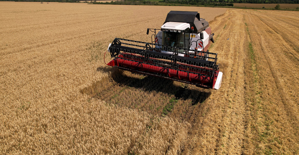Зросла кількість вагонів зі збіжжям, що прямують до портів Великої Одеси 1