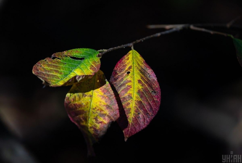25 вересня буде сухо, але прохолодно / фото УНІАН