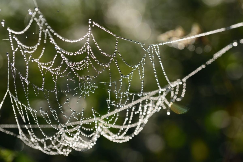 4 вересня в кількох областях України пройдуть дощі / фото Pixabay