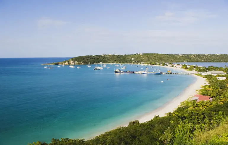 Ангілья заробляє на домені .ai — мільйони від буму штучного інтелекту — новини технологій 1