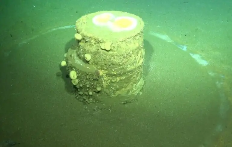 Білі токсичні кільця на дні Тихого океану - вчені розповіли, звідки вони беруться 1