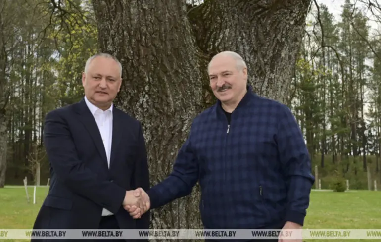 Білоруські медіа масово просувають Додона перед виборами у Молдові — критика уряду Санду напередодні виборів в країні — новини світ 1