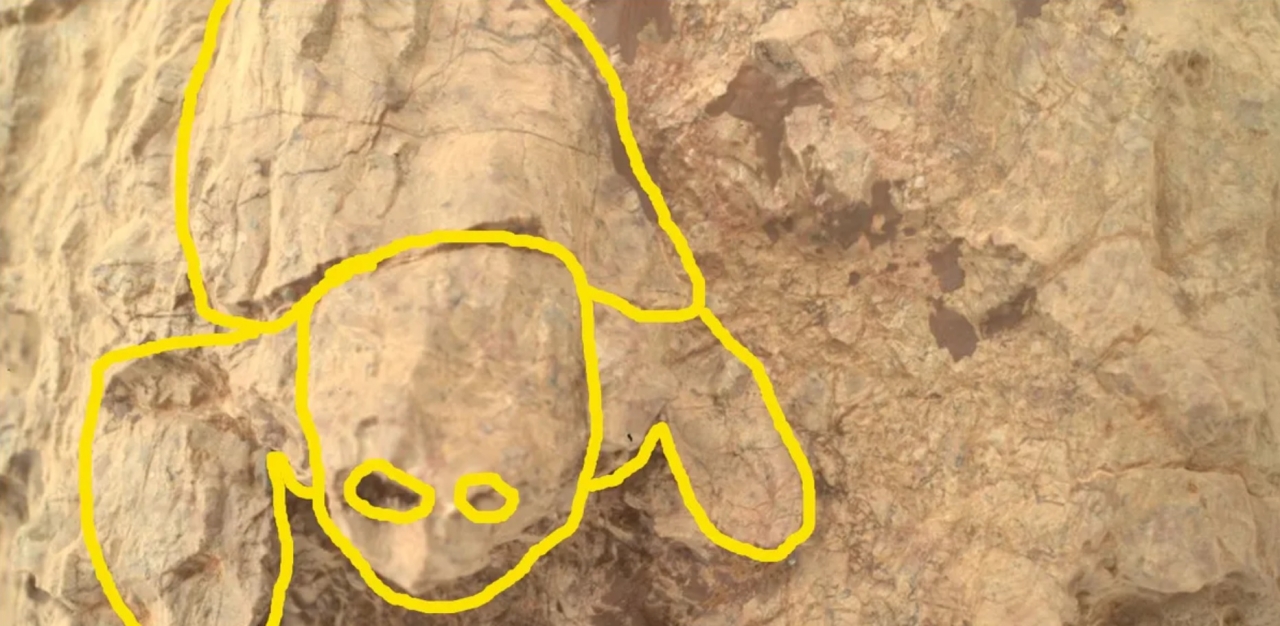 Черепаха на Марсі - марсохід Perseverance зробив знімок незвичайного каменя - фото 2