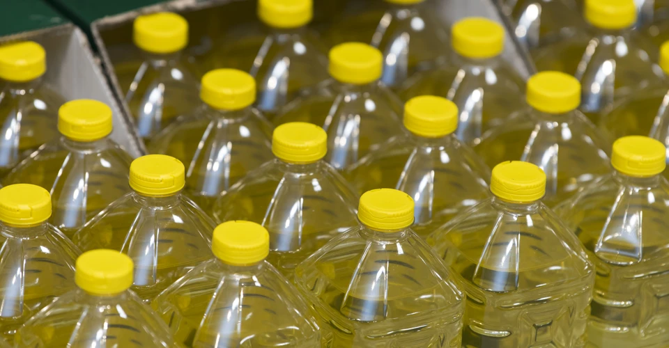 Через посуху на Криворіжчині мають найгірший врожай соняшника 2