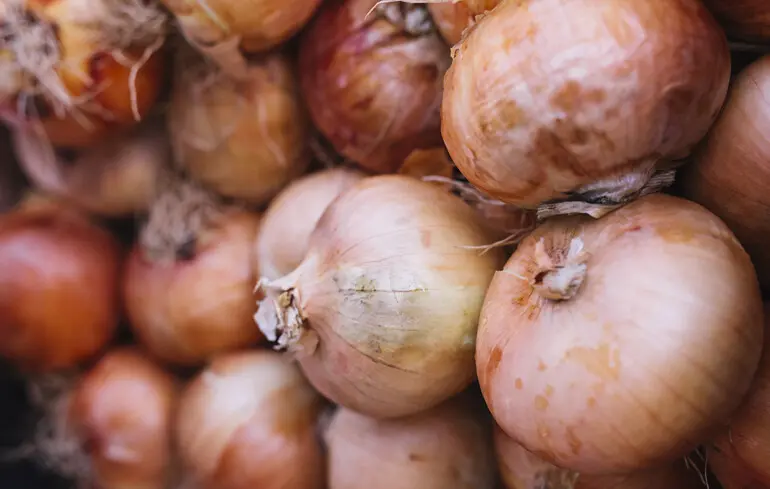Ціни на цибулю в Україні 2025 – як змінилися у вересні, скільки коштує цей овоч – новини України 1