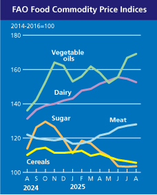 Ціни на продукти у світі зросли в серпні 2025 року на 7% 3