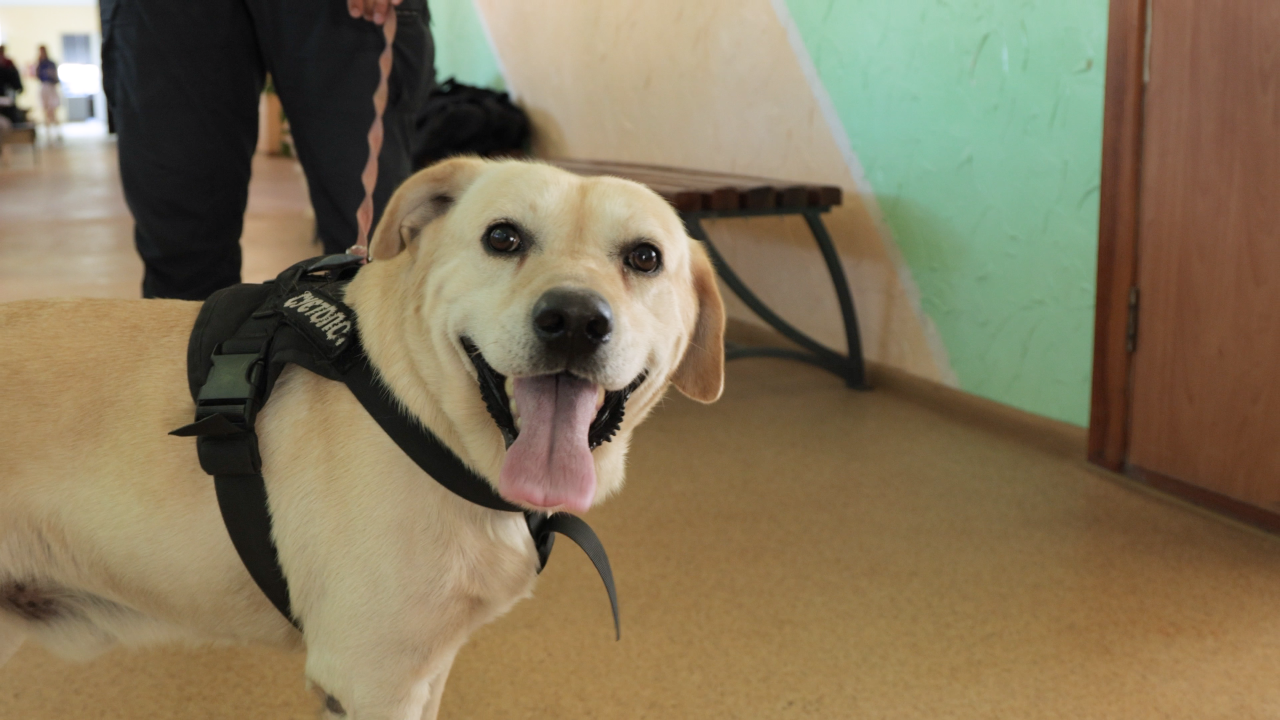 Евакуація переселенців – як працює транзитний центр в Павлограді 6