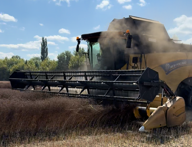 Як біля російського кордону на Сумщині збирають уркаїнський урожай 1