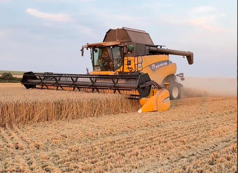 Як біля російського кордону на Сумщині збирають уркаїнський урожай 2