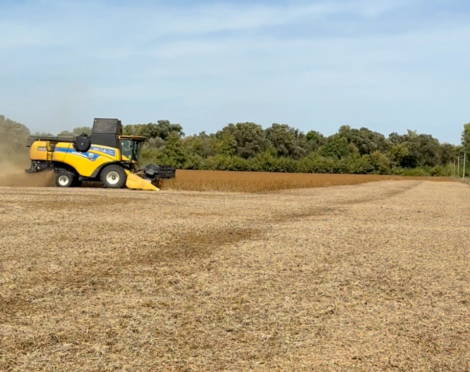 Як біля російського кордону на Сумщині збирають уркаїнський урожай 4