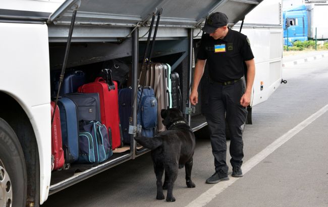 Як перевіряють сумки й особисті речі на кордоні і навіщо пояснили у ДПСУ - що шукають собаки 1