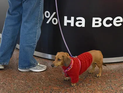 Книжкова країна - у столиці презентували понад 100 видавництв і 400 подій на ВДНГ - фото 5