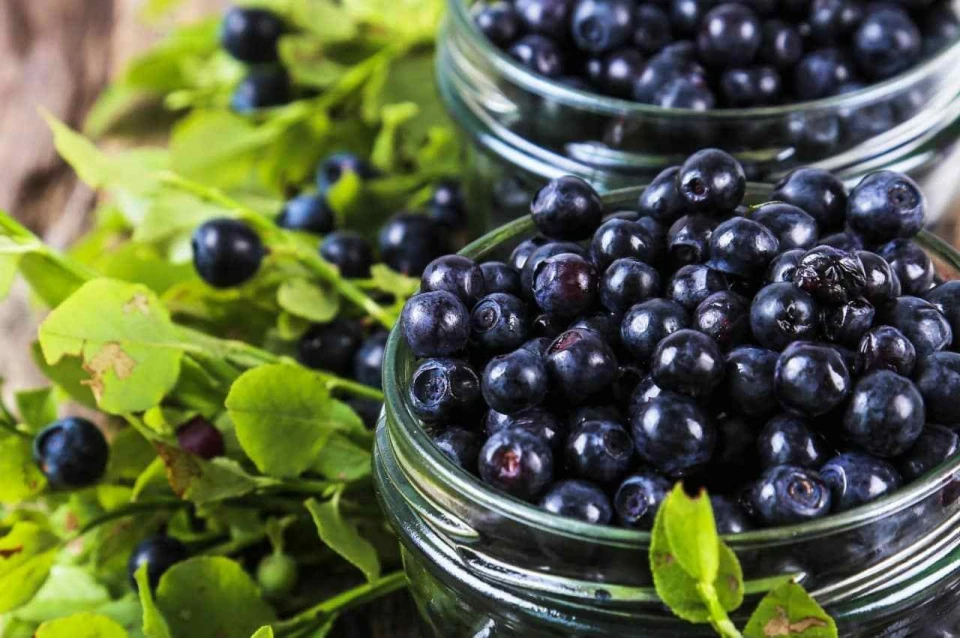 Корисні фрукти та ягоди, що мають бути у вашому раціоні 2