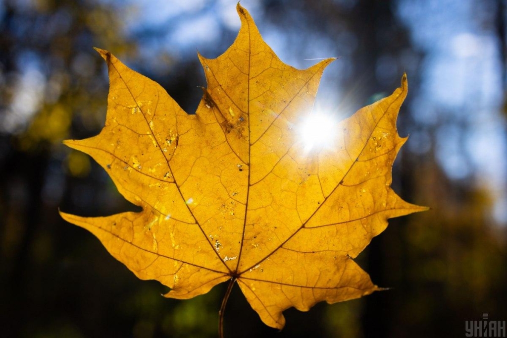 Метеорологиня розповіла, якою буде осінь в Україні 1 Пофото УНІАН