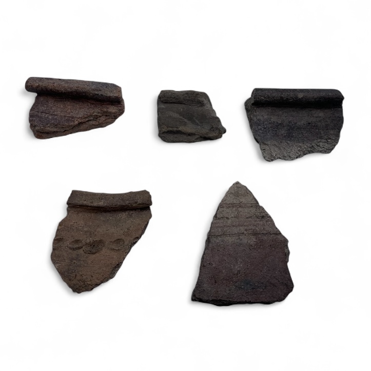 На Полтавщині археологи знайшли понад тисячу артефактів біля Котелевської фортеці - фото 14