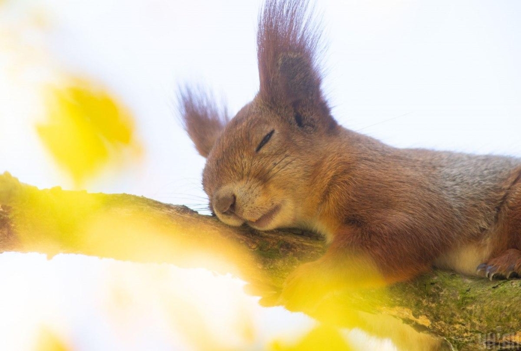 На вихідних Україну розігріє до +28°: літо настане по всій країні 1 Вифото УНІАН