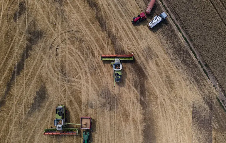 Падіння виробництва агропродукції - Держстат назвав цифри 1