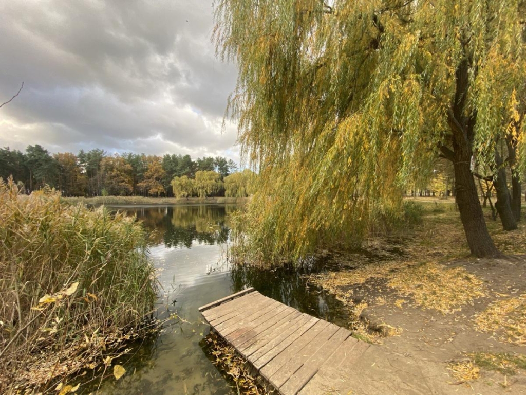 12/ фото УНІАН, Надія Пришляк