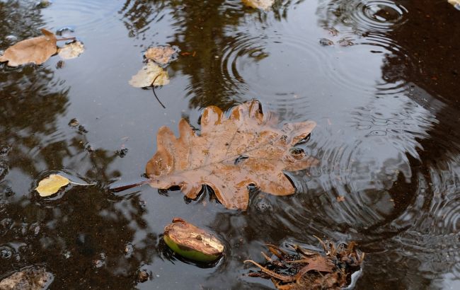 Погода в Україні 1 жовтня - прогнозують холод і дощі 1