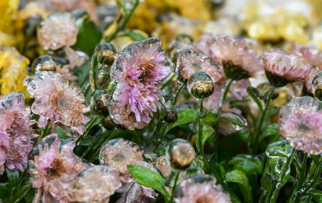 Погода в Україні 27 вересня - у ніч на суботу у більшості регіонів можливі заморозки 1