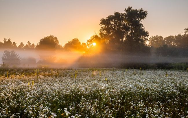 Погода в Україні 5 вересня - сухо та спекотно, але можливі тумани 1