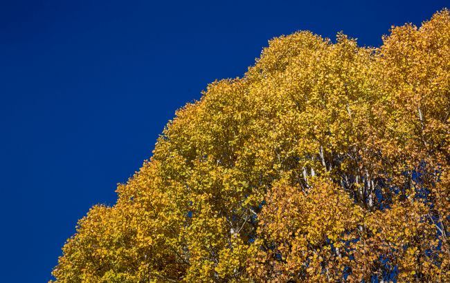 Погода в Україні на 13-14 вересня - дощі не очікуються 1