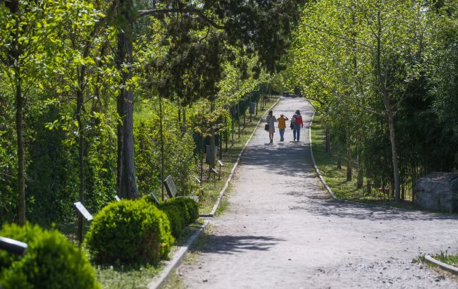 Похолодання й дощі в Україні і Києві зміняться потеплінням і сонцем на вихідних - прогноз погоди 1