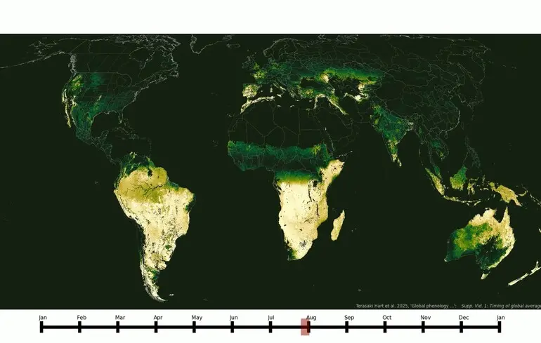 Пори року на Землі не синхронізовані — супутники показали асинхронність сезонів — новини науки 1