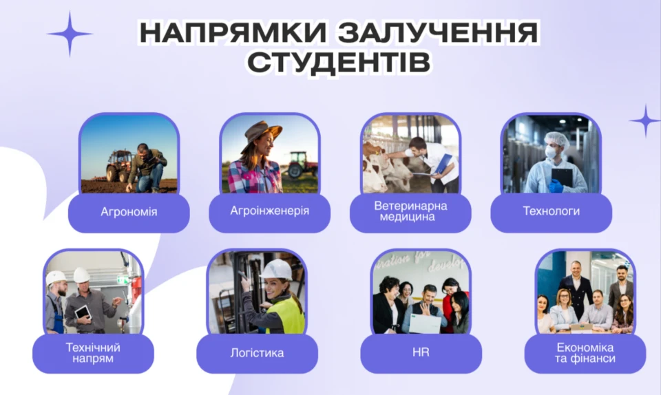 Поєднати навчання з роботою: як працює дуальна освіта в Україн 2