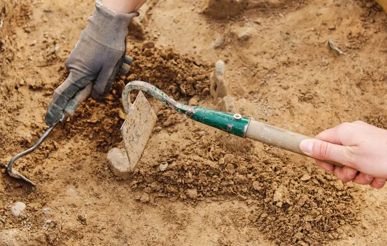 Рідкісну брошку знайшли в Англії - артефакт віком 2000 років можуть передати до музею - новини культури 1