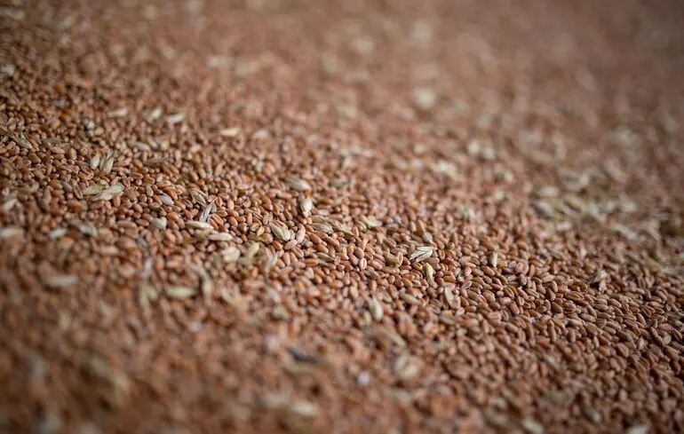 Росія переходить на бартер у торгівлі з Китаєм – що відомо про угоди – до чого тут санкції 1