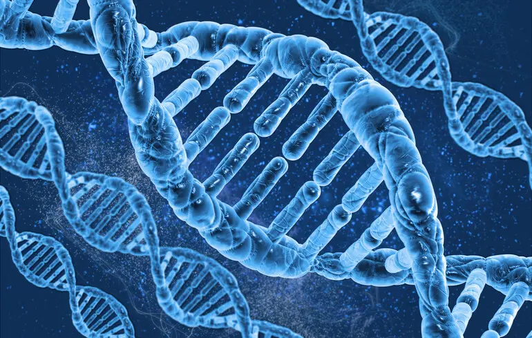 Секрети довголіття розкрили через ДНК 117-річної жінки - унікальні біомаркери здорового старіння - новини науки 1